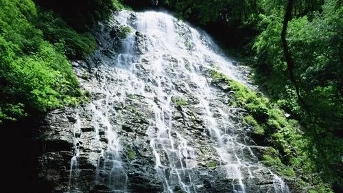 高性能高标准智能